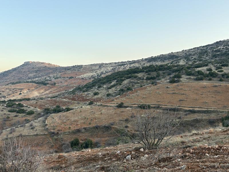 GAZİANTEP NİZİP'DE 53.004 M2 SATILIK FISTIK BAHÇESİ